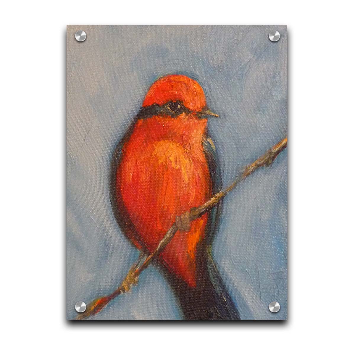 A portrait painting of a vermilion flycatcher perched on a twig against a serene gray and blue background. Printed on acrylic.