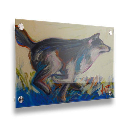 A painting of a running wolf created with dynamic brushstrokes and eye-catching colors, with reds and blues highlighting the edges. Printed on acrylic.