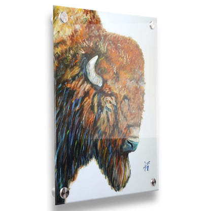 A portrait of a brown American bison with vibrant blue highlights on a neutral background. Printed on acrylic.