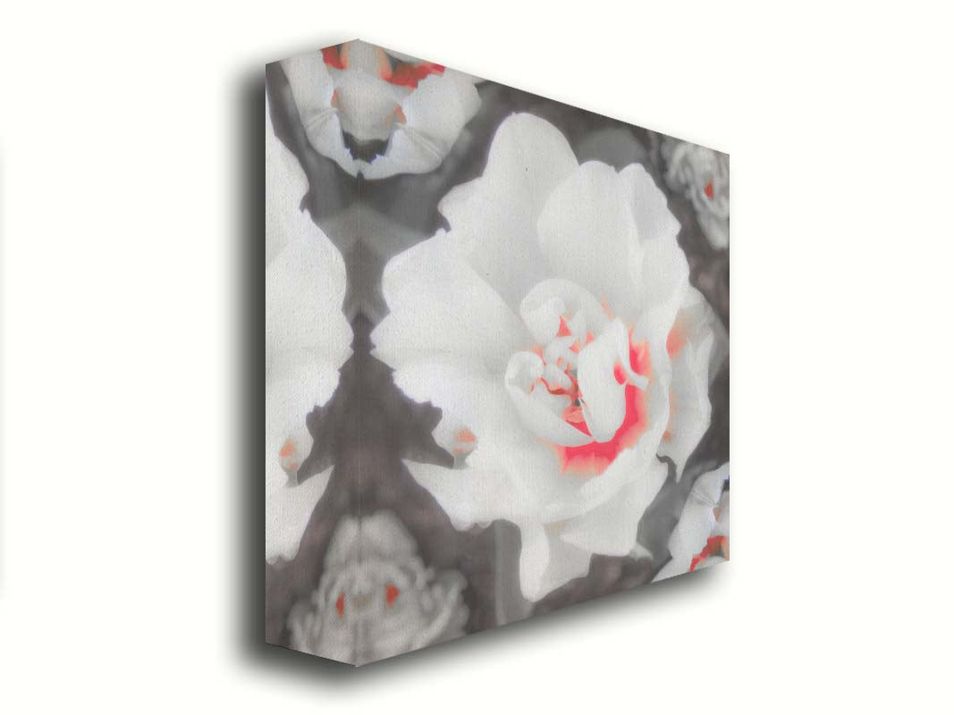 A closeup photograph of a fancy tulip in grayscale, with one pop of pink and red in the center. Printed on canvas.