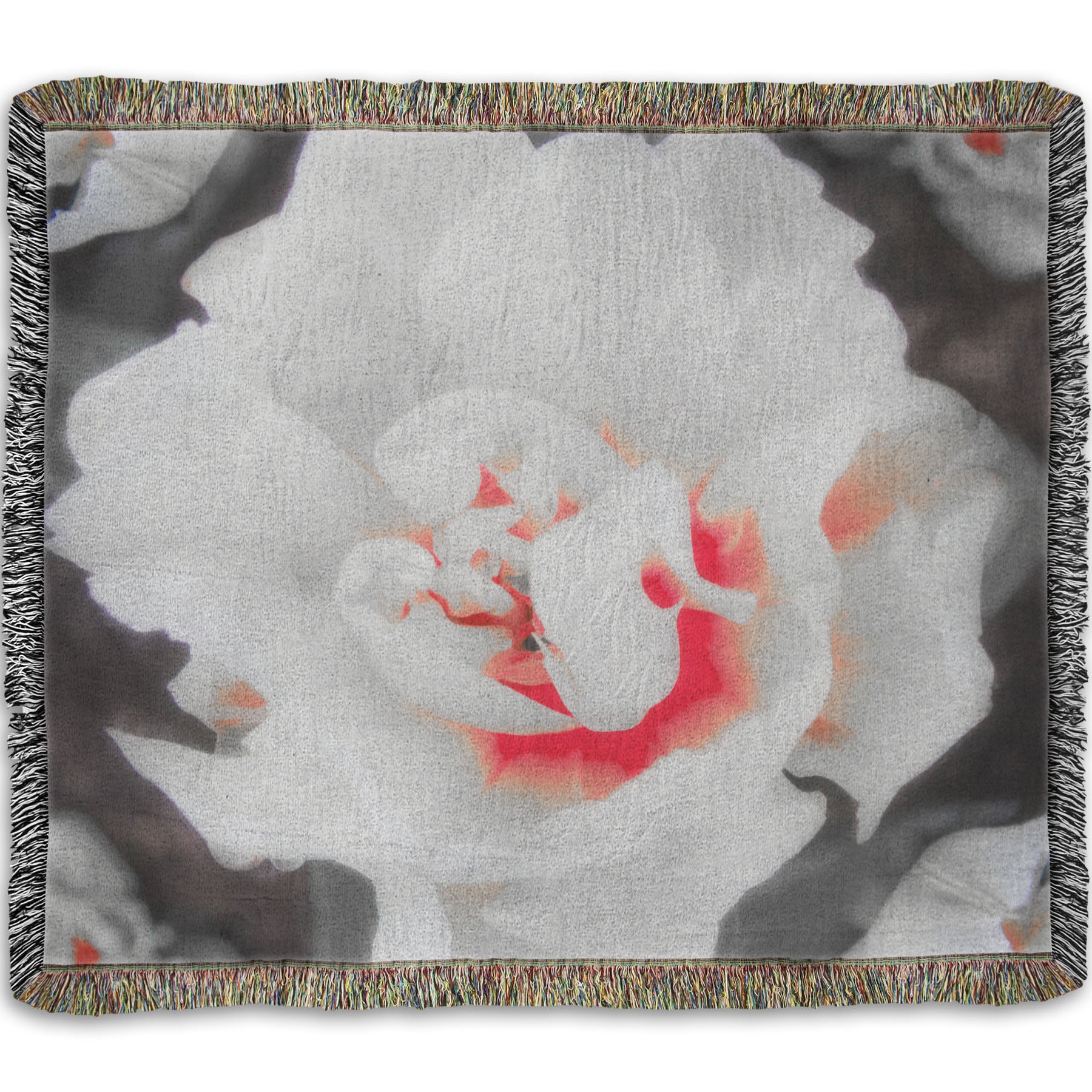 A woven throw blanket designed with a closeup photograph of a fancy tulip in grayscale, with one pop of pink and red in the center.