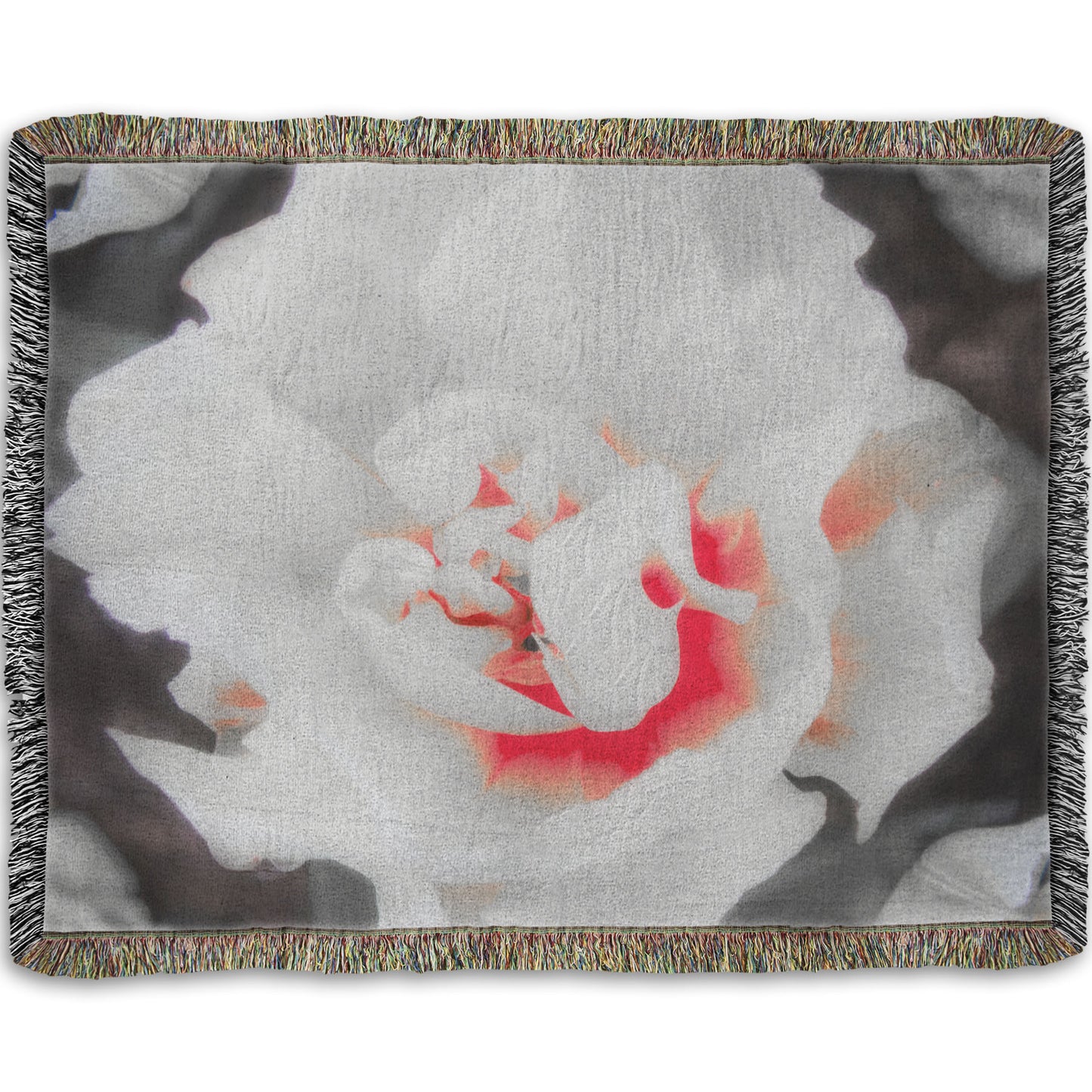 A woven throw blanket designed with a closeup photograph of a fancy tulip in grayscale, with one pop of pink and red in the center.