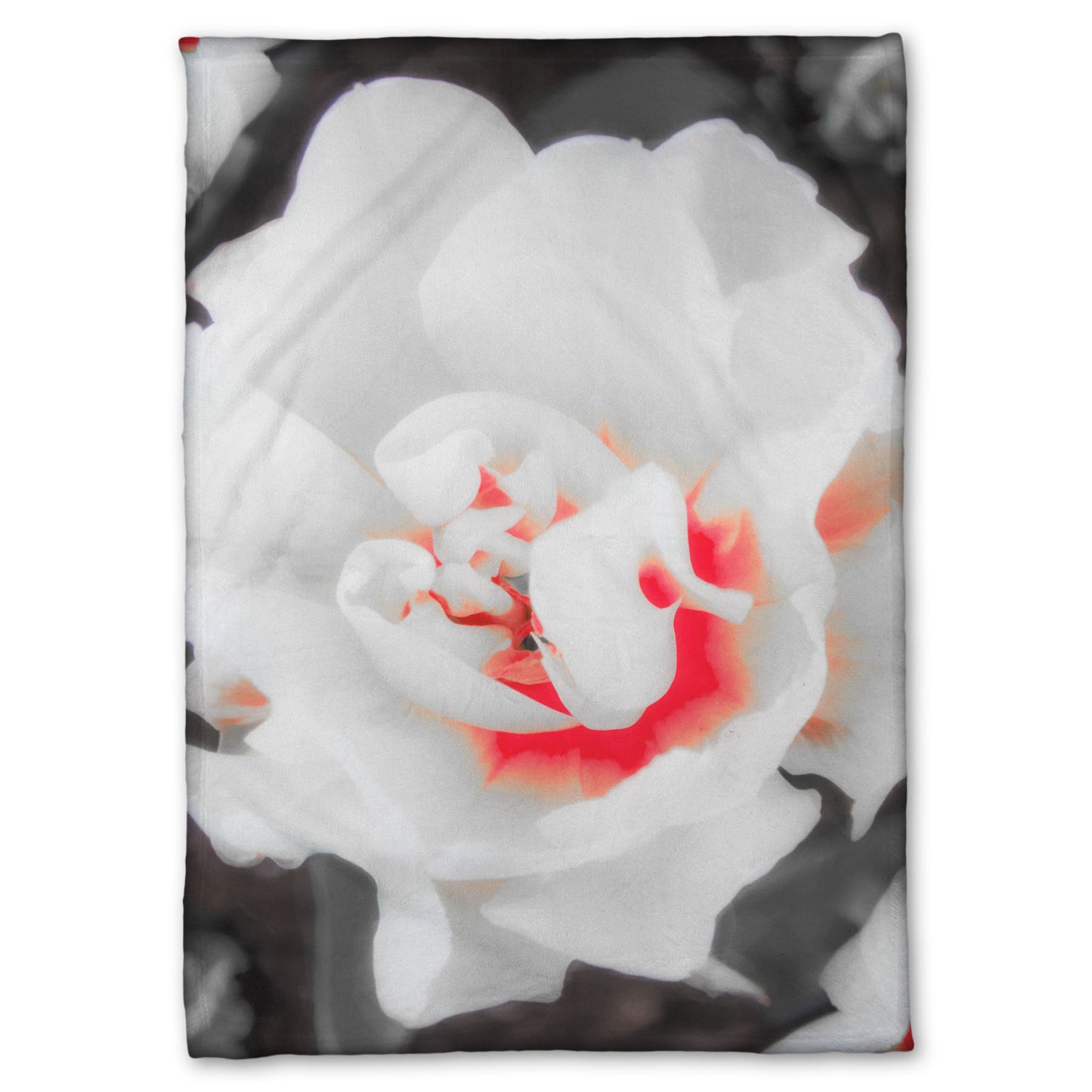 A coral fleece blanket designed with a closeup photograph of a fancy tulip in grayscale, with one pop of pink and red in the center.