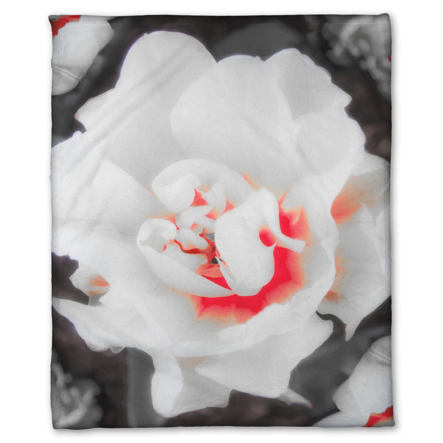 A coral fleece blanket designed with a closeup photograph of a fancy tulip in grayscale, with one pop of pink and red in the center.