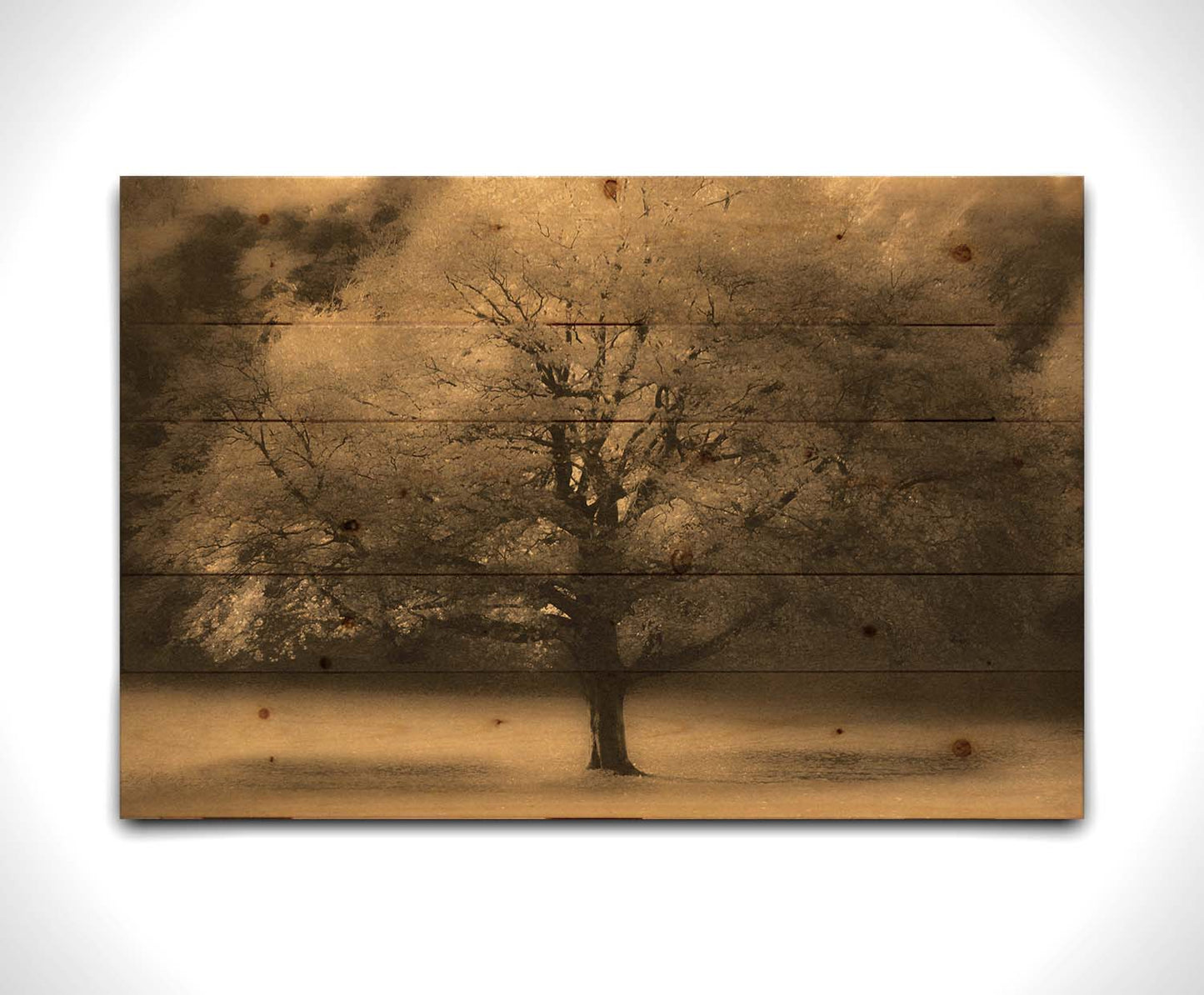 An edited photo of a large, isolated tree in fall, colored in sepia tone. Printed on a wood pallet.