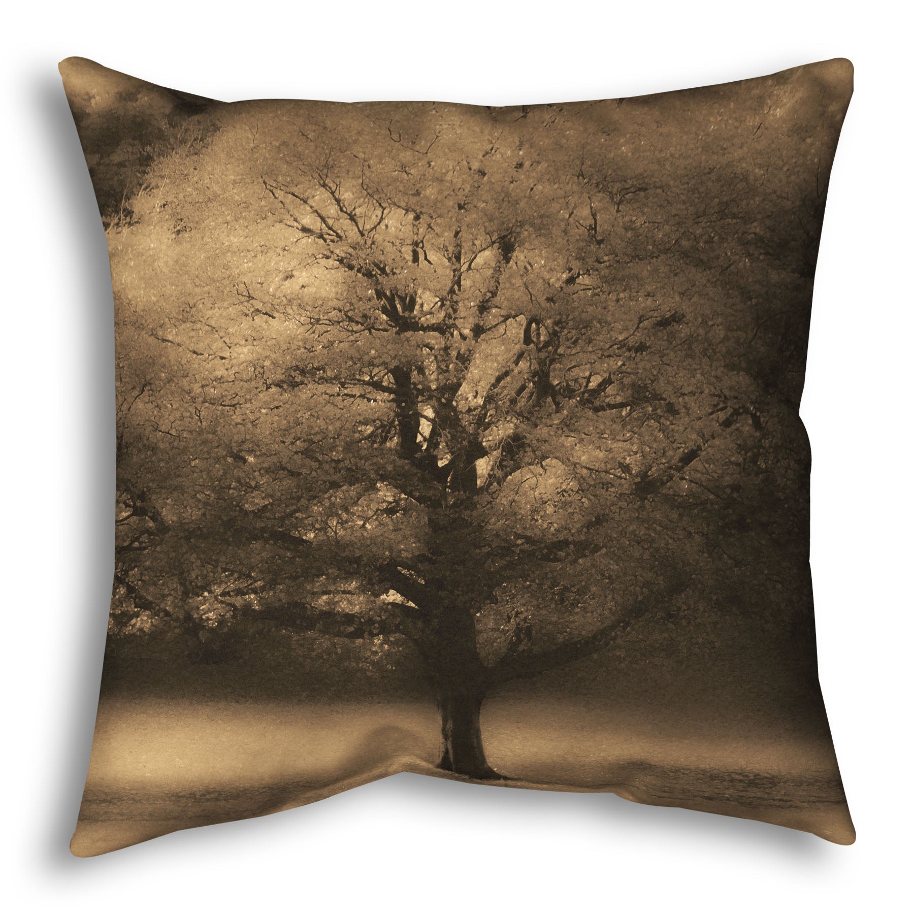 A throw pillow designed with an edited photo of a large, isolated tree in fall, colored in sepia tone.