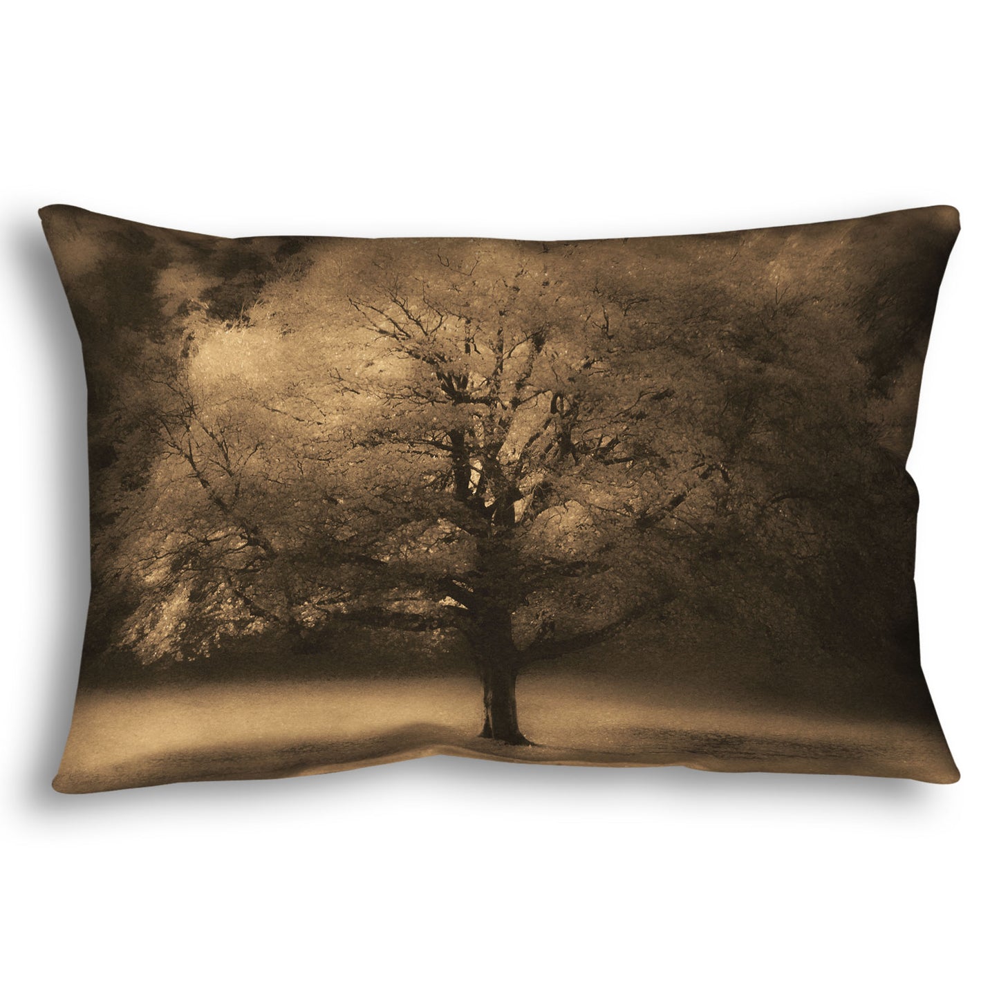 A throw pillow designed with an edited photo of a large, isolated tree in fall, colored in sepia tone.