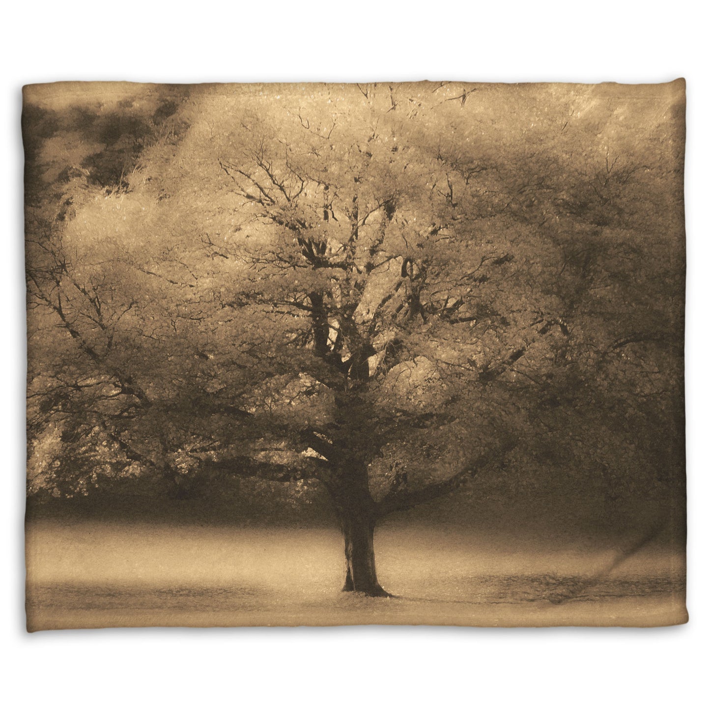 A coral fleece blanket designed with an edited photo of a large, isolated tree in fall, colored in sepia tone.