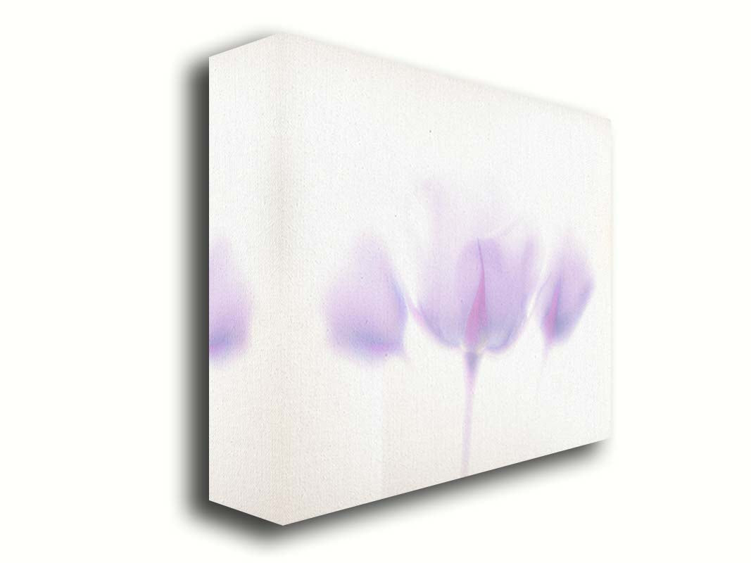 A photo of three pale purple roses against a pure white background, enveloped in a gentle white glow. Printed on canvas.