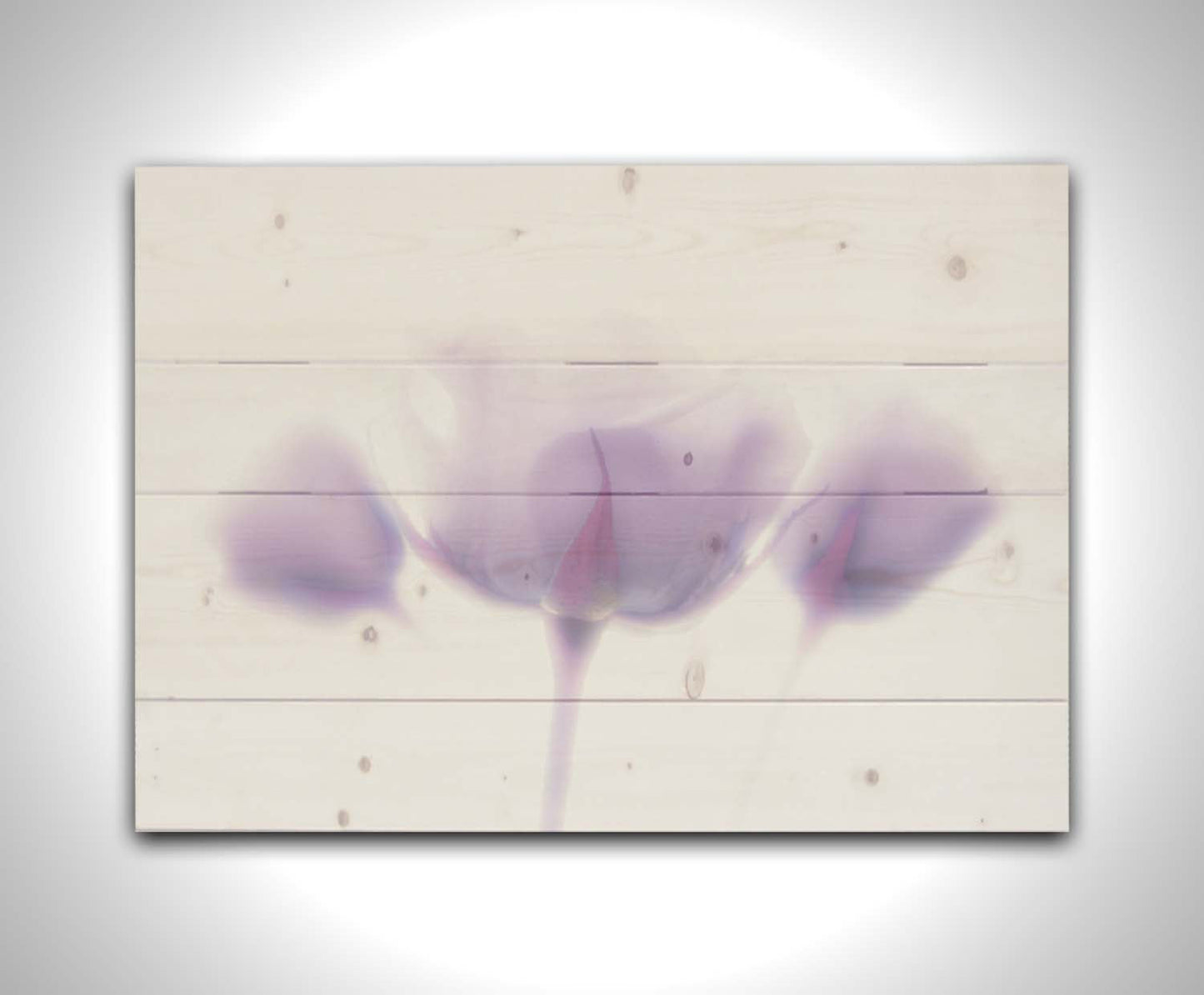 A photo of three pale purple roses against a pure white background, enveloped in a gentle white glow. Printed on a wood pallet.