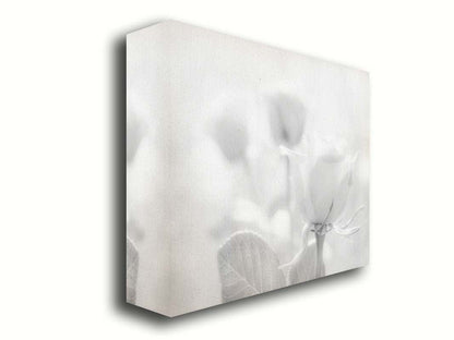 A grayscale photo of three roses bathed in a soft white light. Printed on canvas.