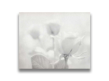 A grayscale photo of three roses bathed in a soft white light. Printed on canvas.