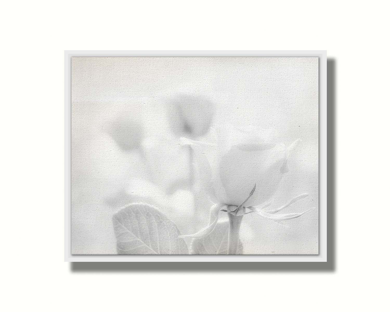 A grayscale photo of three roses bathed in a soft white light. Printed on canvas in a float frame.