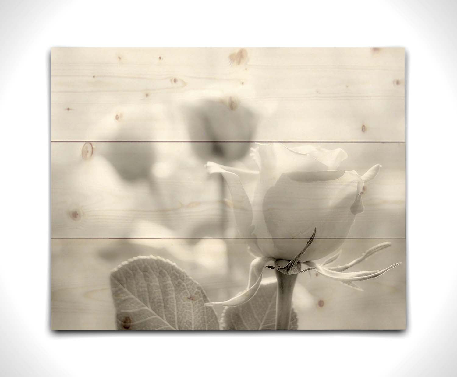 A grayscale photo of three roses bathed in a soft white light. Printed on a wood pallet.