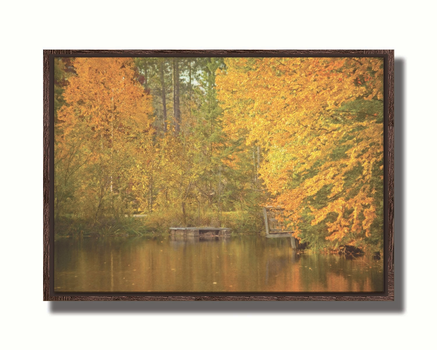 A photo of yellow autumn trees at a pond, their leaves reflecting off the water. Printed on canvas in a float frame.