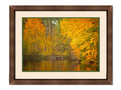 A photo of yellow autumn trees at a pond, their leaves reflecting off the water. Printed on paper, matted, and framed.