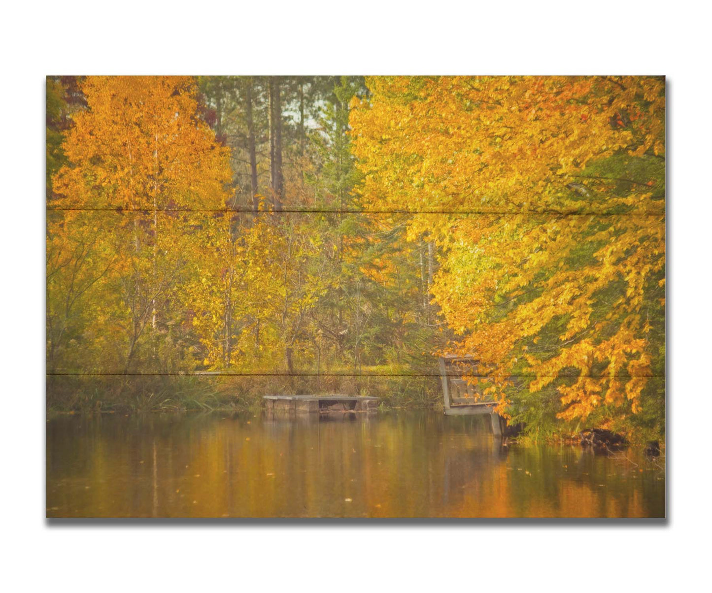 A photo of yellow autumn trees at a pond, their leaves reflecting off the water. Printed on a box board.