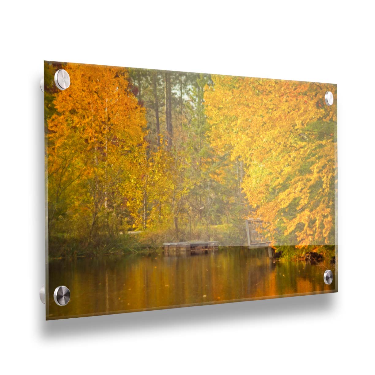 A photo of yellow autumn trees at a pond, their leaves reflecting off the water. Printed on acrylic.