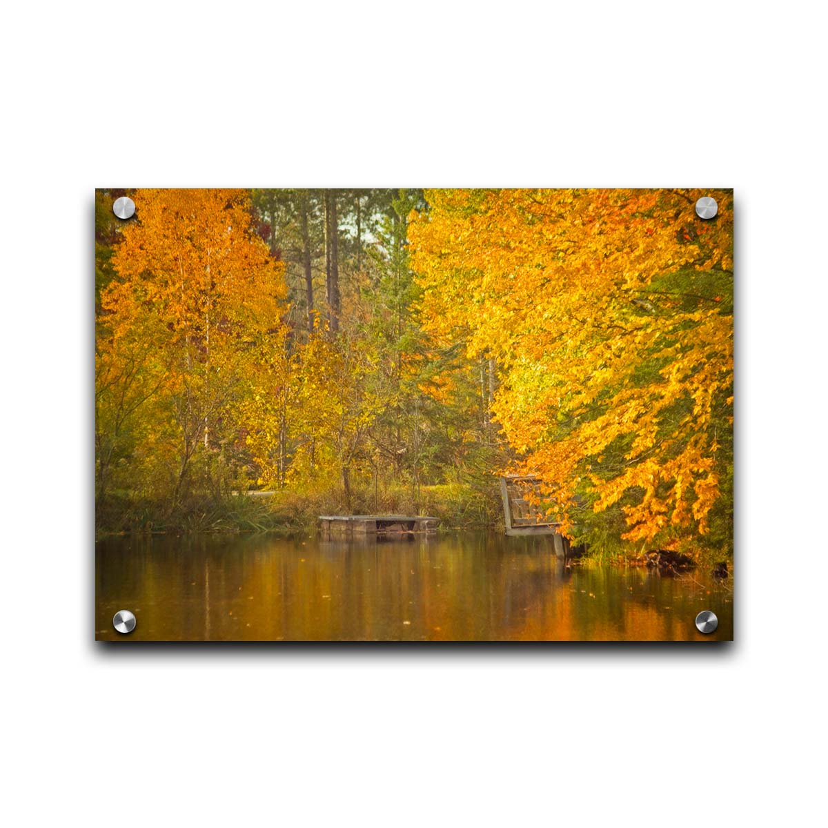 A photo of yellow autumn trees at a pond, their leaves reflecting off the water. Printed on acrylic.