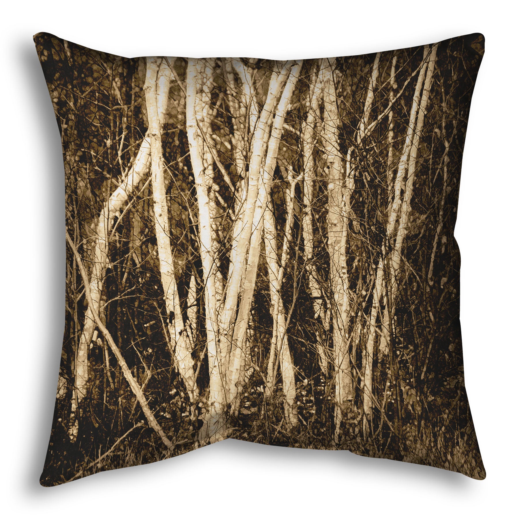 A throw pillow designed with a sepia photo of a cluster of birch trees.
