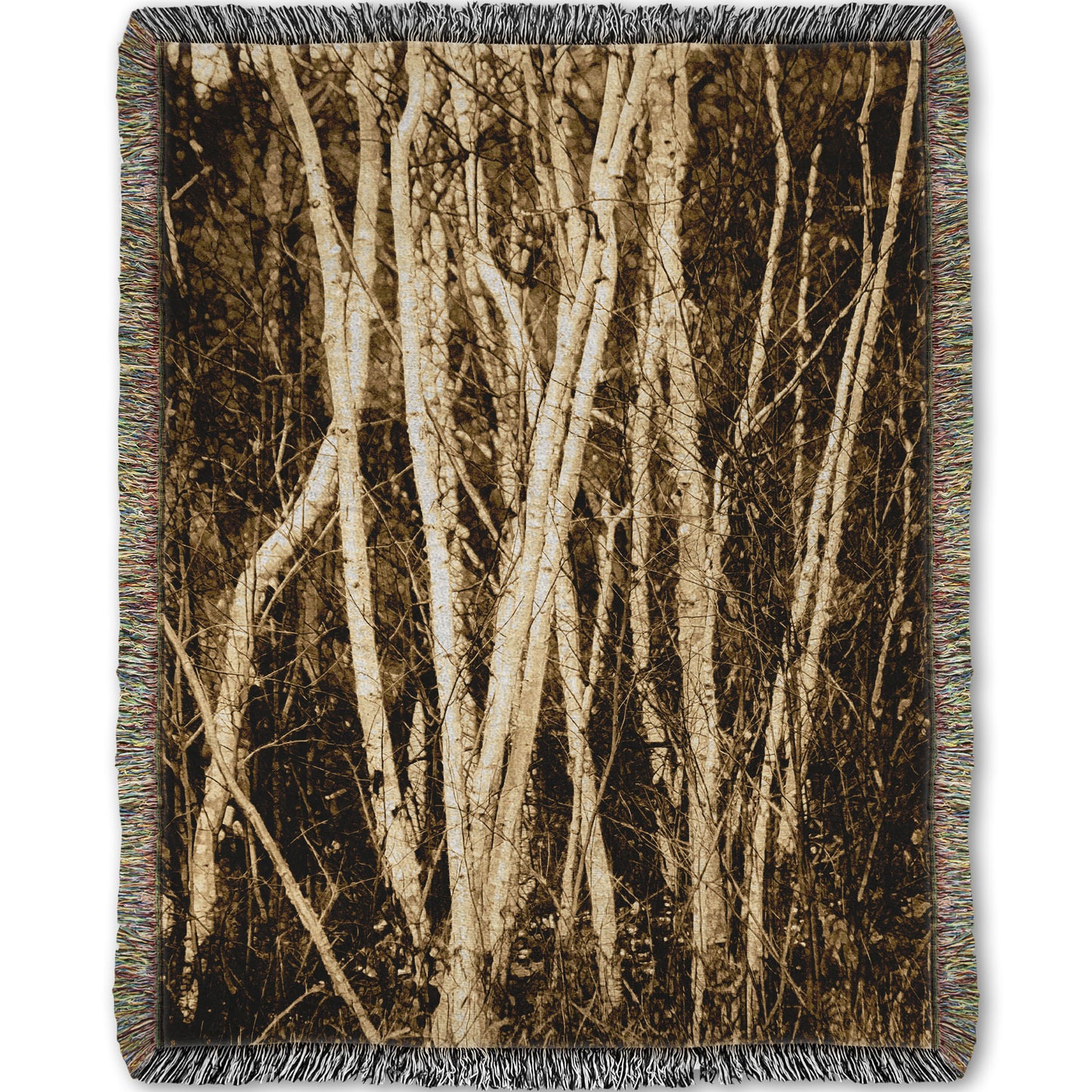 A woven throw blanket designed with a sepia photo of a cluster of birch trees.