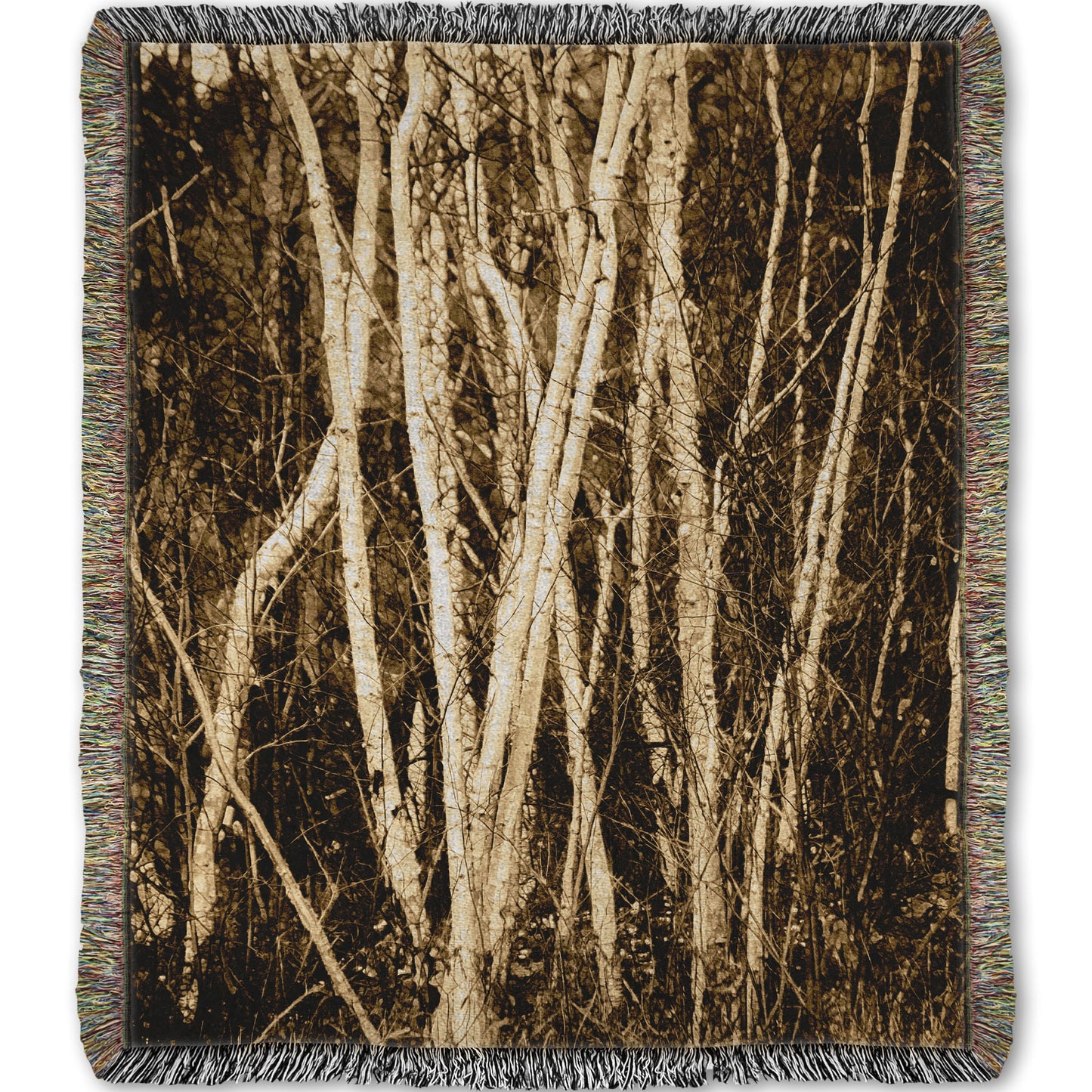 A woven throw blanket designed with a sepia photo of a cluster of birch trees.