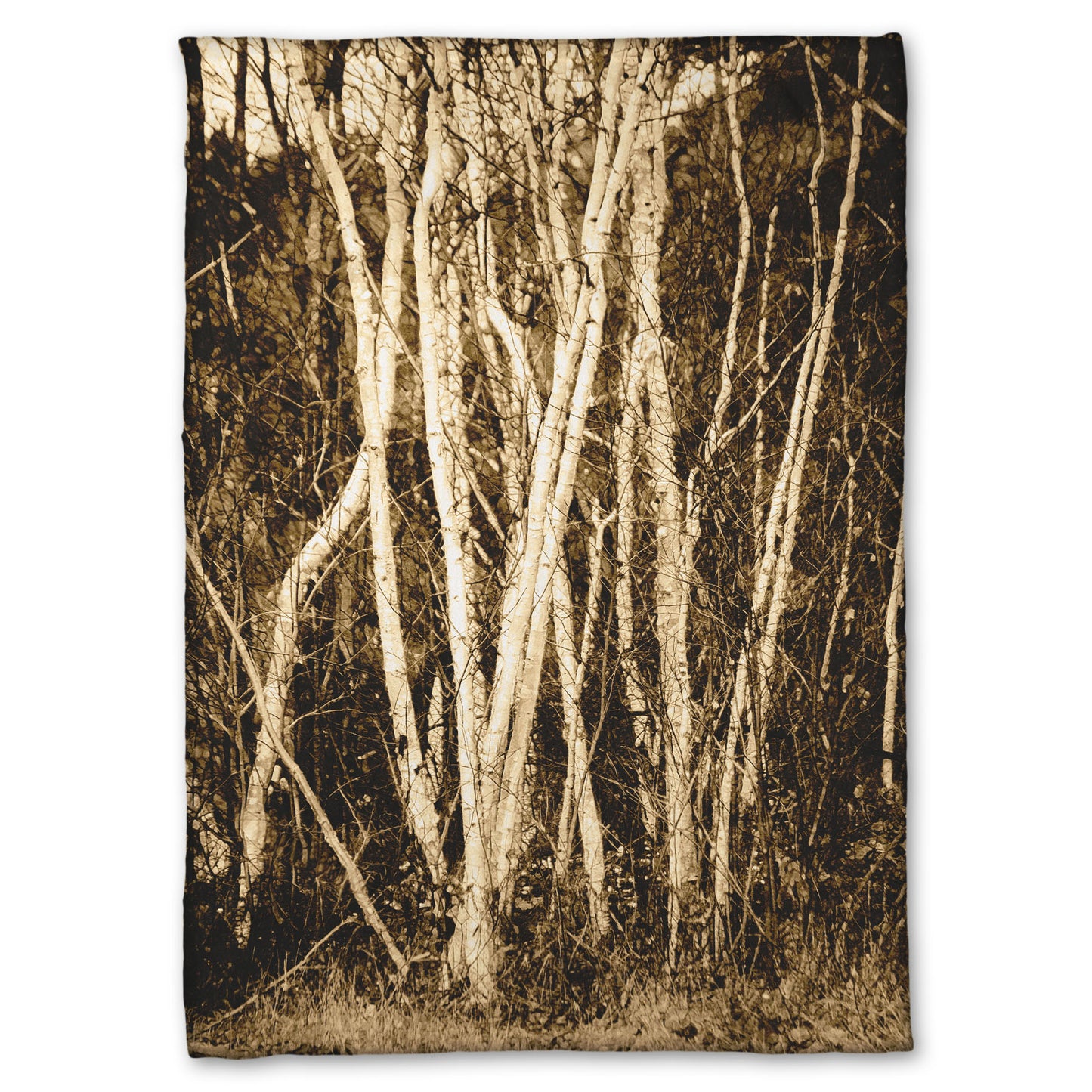 A fleece throw blanket designed with a sepia photo of a cluster of birch trees.
