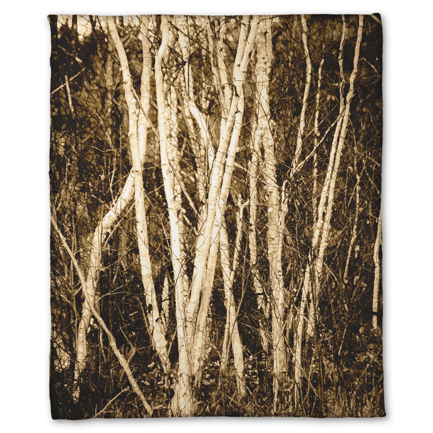 A fleece throw blanket designed with a sepia photo of a cluster of birch trees.