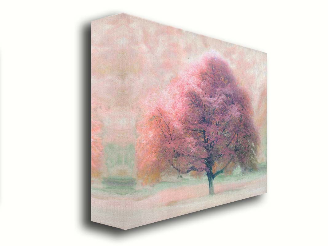 An edited photo of a beech tree, its leaves pink for autumn. It has been modified to have a painterly look. Printed on canvas.