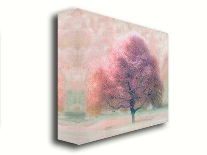 An edited photo of a beech tree, its leaves pink for autumn. It has been modified to have a painterly look. Printed on canvas.