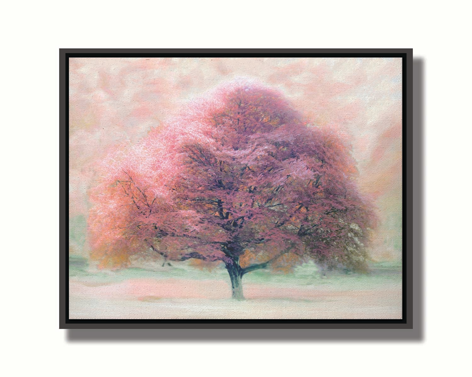 An edited photo of a beech tree, its leaves pink for autumn. It has been modified to have a painterly look. Printed on canvas in a float frame.