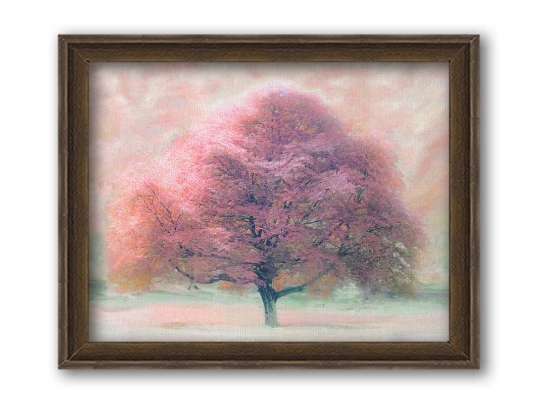 An edited photo of a beech tree, its leaves pink for autumn. It has been modified to have a painterly look. Printed on canvas and framed.