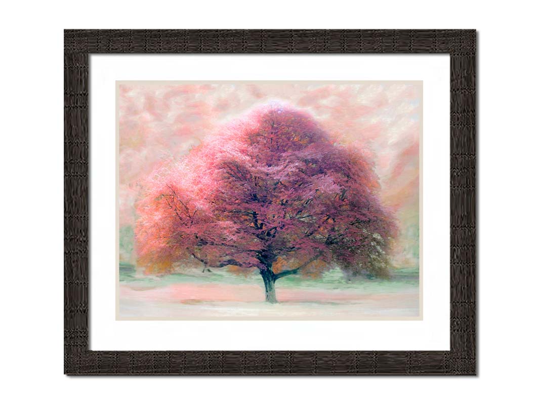 An edited photo of a beech tree, its leaves pink for autumn. It has been modified to have a painterly look. Printed on paper, matted, and framed.