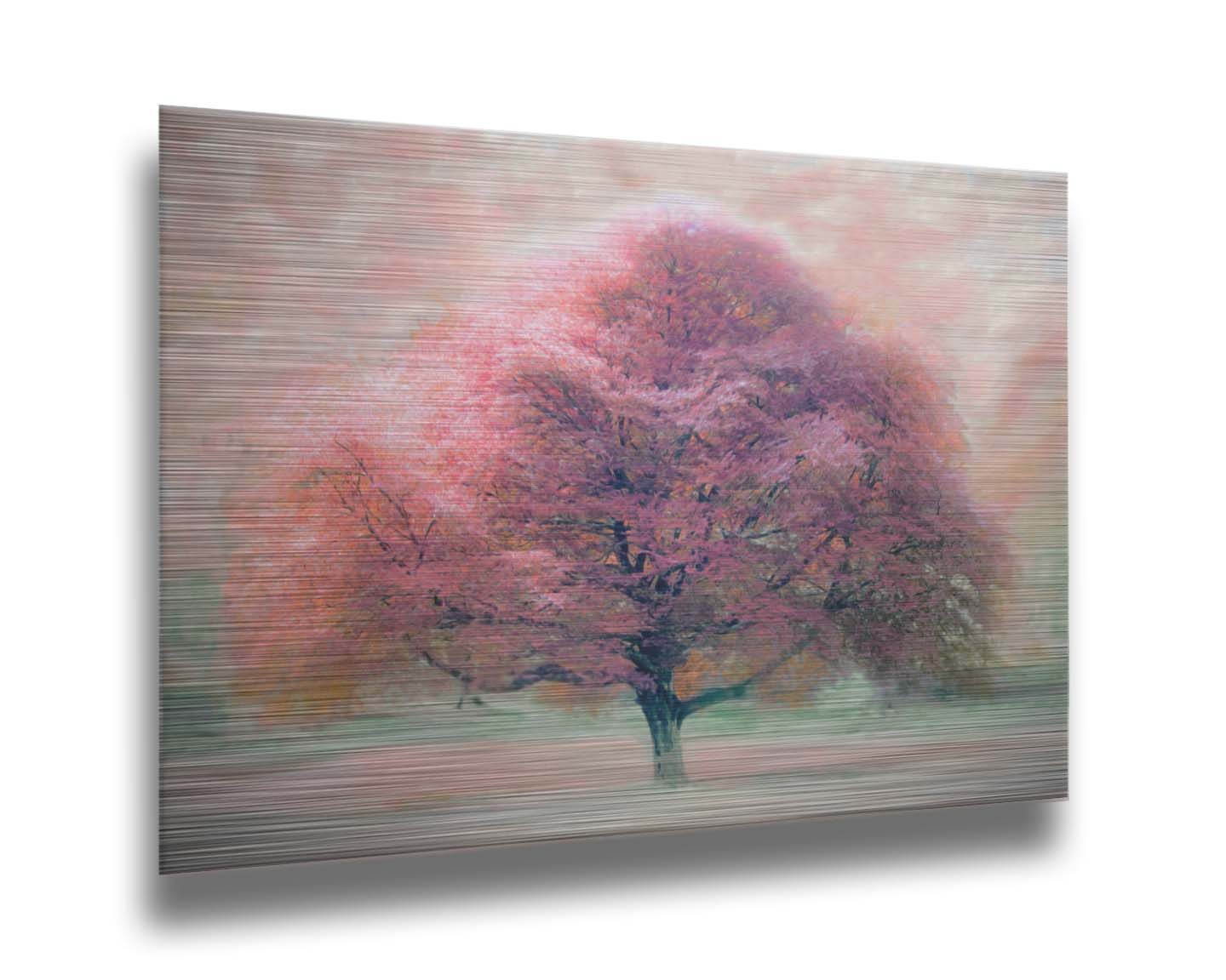 An edited photo of a beech tree, its leaves pink for autumn. It has been modified to have a painterly look. Printed on metal.