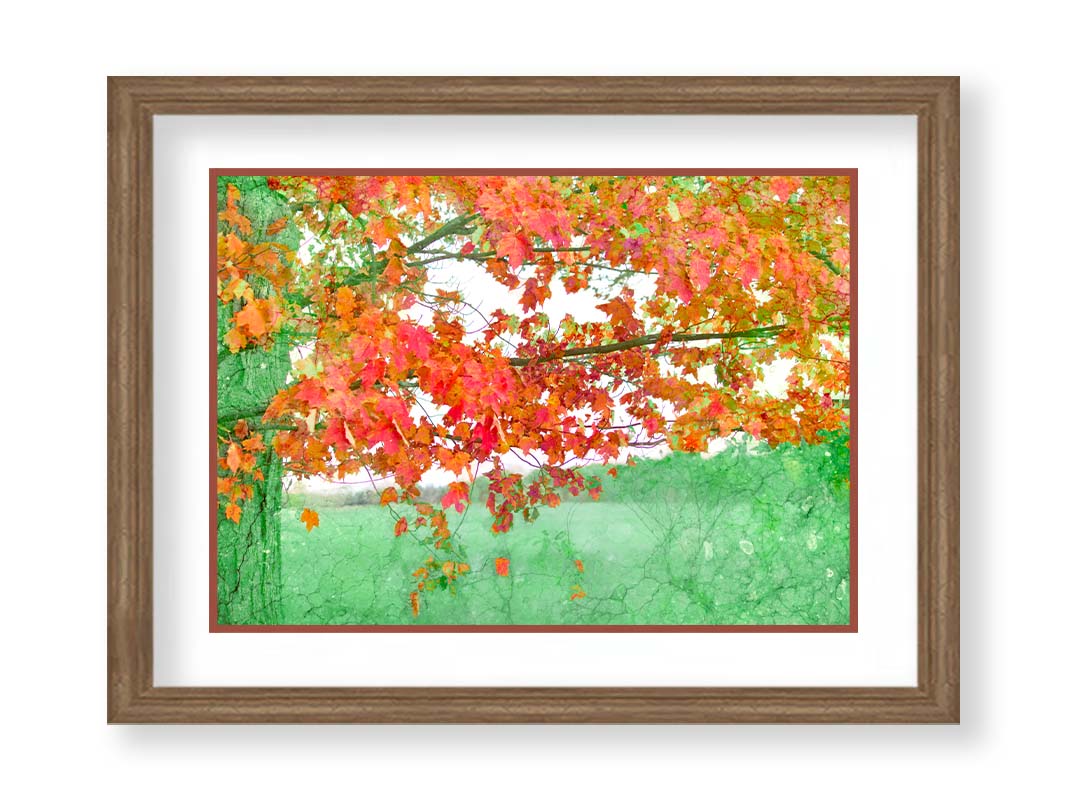 A photo of a tree's red leaves. The rest of the image has been edited green. Printed on paper, matted, and framed.