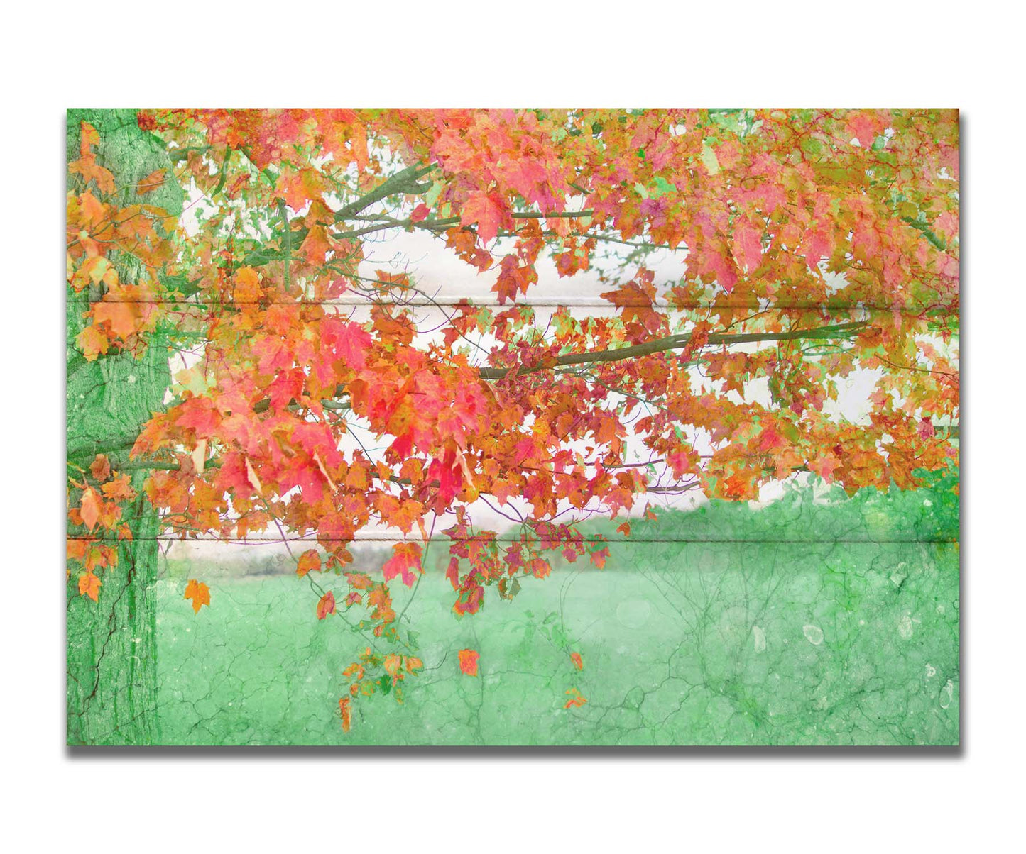 A photo of a tree's red leaves. The rest of the image has been edited green. Printed on a box board.