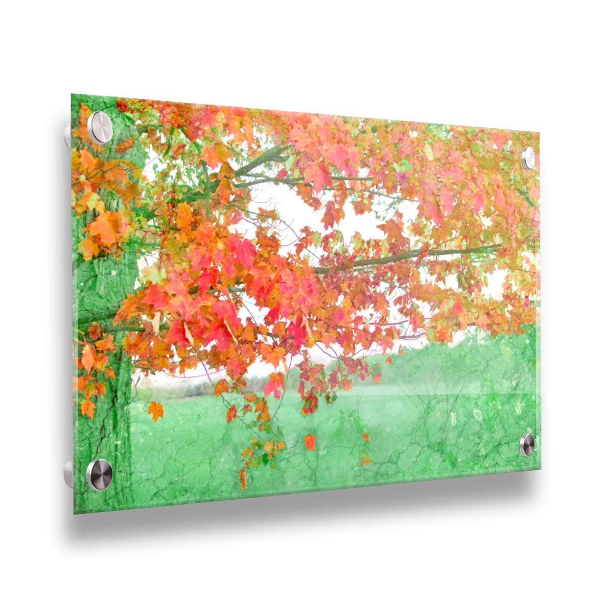 A photo of a tree's red leaves. The rest of the image has been edited green. Printed on acrylic.