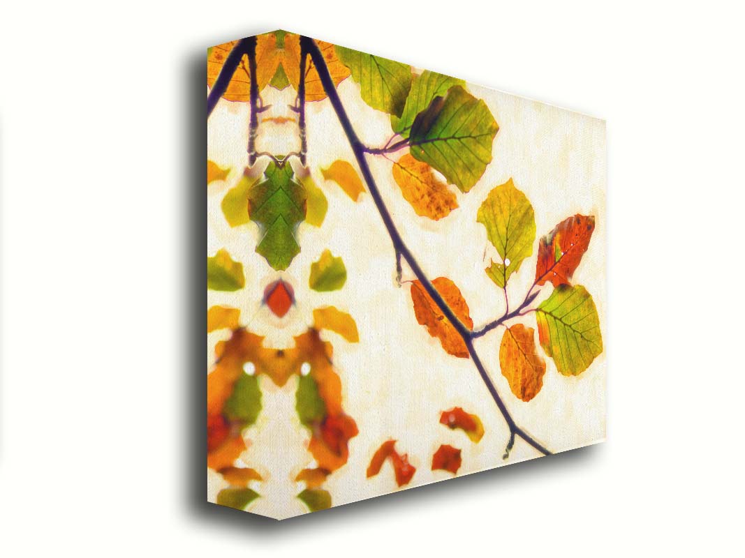 A photo of a twig of leaves turning orange for the fall against a white background. Printed on canvas.