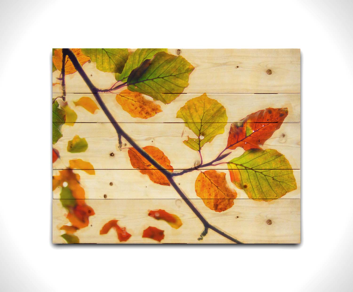 A photo of a twig of leaves turning orange for the fall against a white background. Printed on a wood pallet.