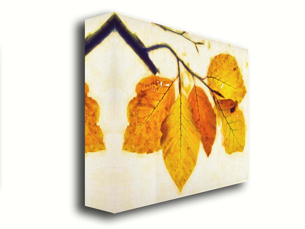 A photo of a twig of orange and yellow leaves on a white background. Printed on canvas.