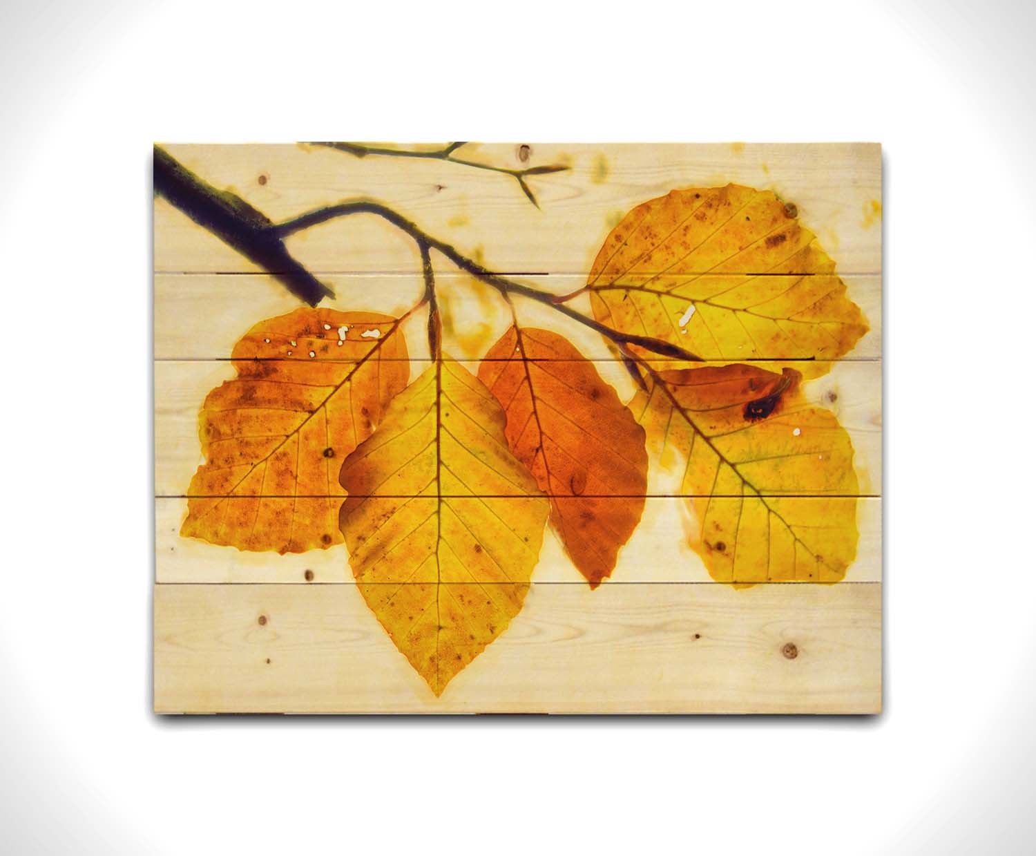 A photo of a twig of orange and yellow leaves on a white background. Printed on a wood pallet.