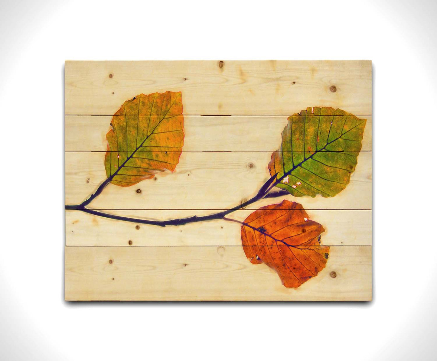 A photo of a twig of green and orange leaves against a white background. Printed on a wood pallet.