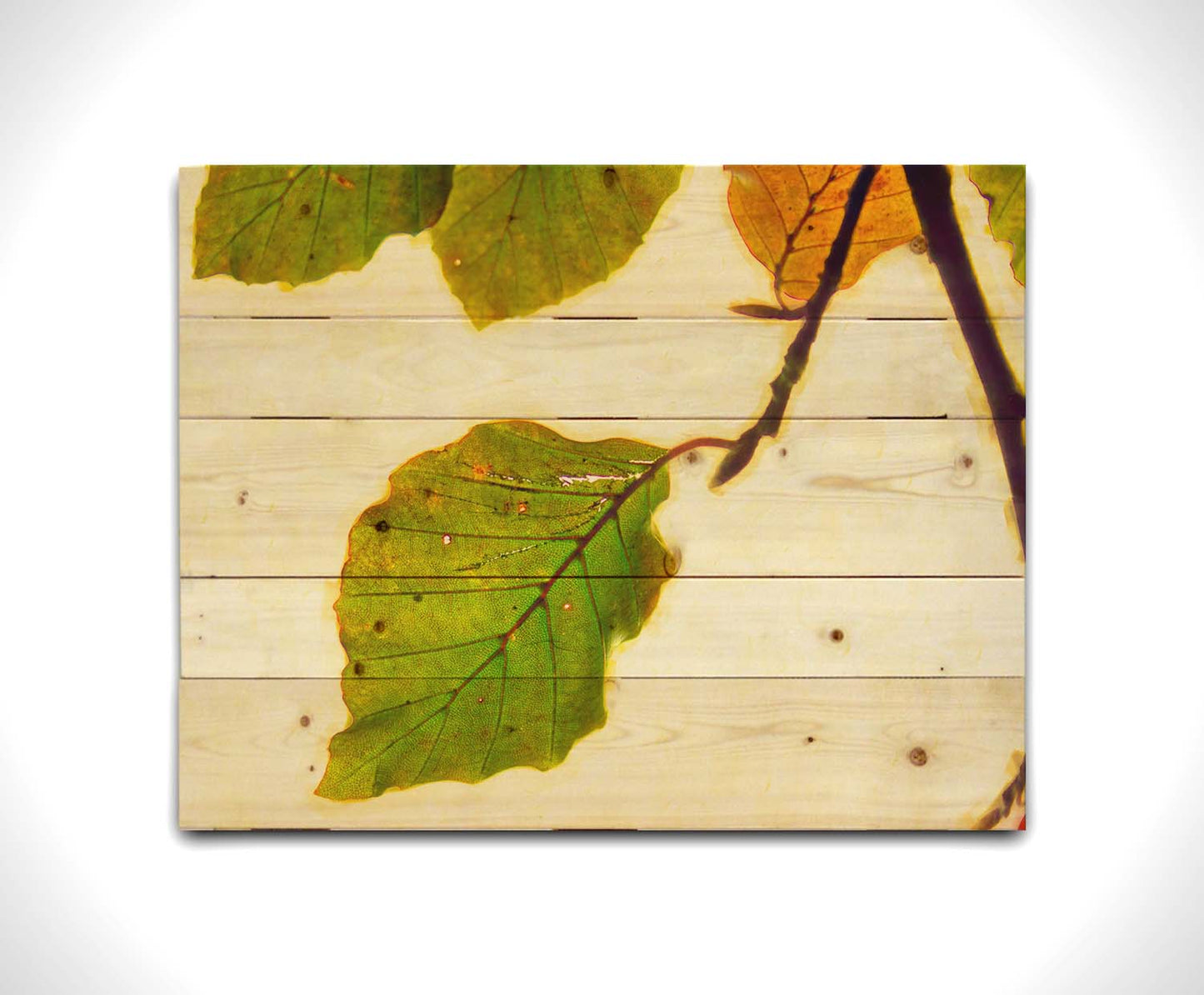 A photo of a twig of green and yellow leaves on a white background. Printed on a wood pallet.