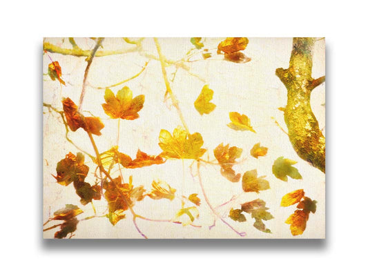 A photo of  leafy branches in yellow against a white background. Printed on canvas.