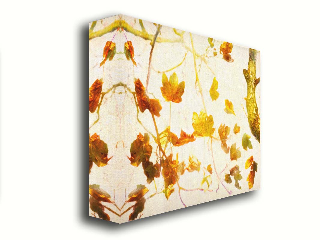 A photo of  leafy branches in yellow against a white background. Printed on canvas.