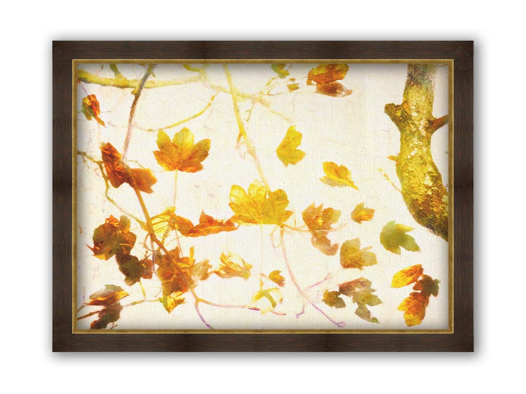 A photo of  leafy branches in yellow against a white background. Printed on canvas and framed.