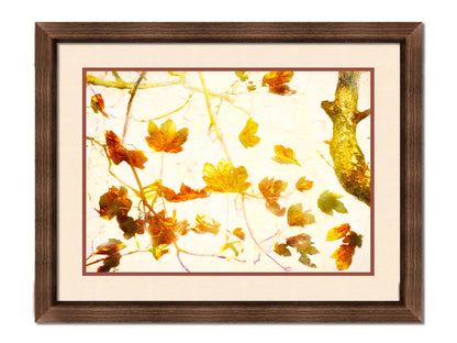 A photo of  leafy branches in yellow against a white background. Printed on paper, matted, and framed.