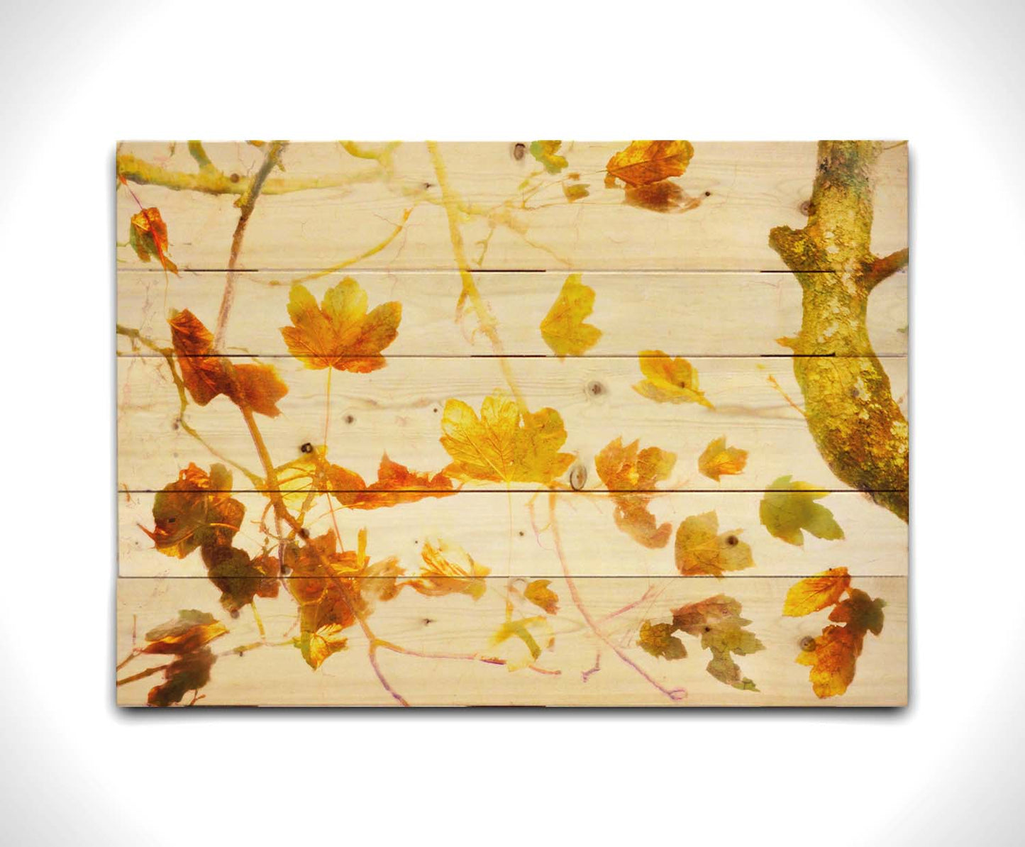 A photo of  leafy branches in yellow against a white background. Printed on a wood pallet.