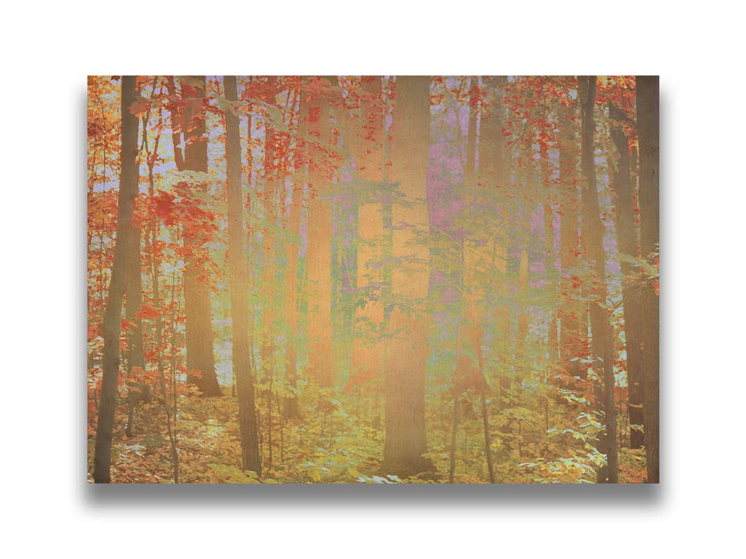 A photo of a forest with red leaves, edited with a color inverion radiating from the center. Printed on canvas.