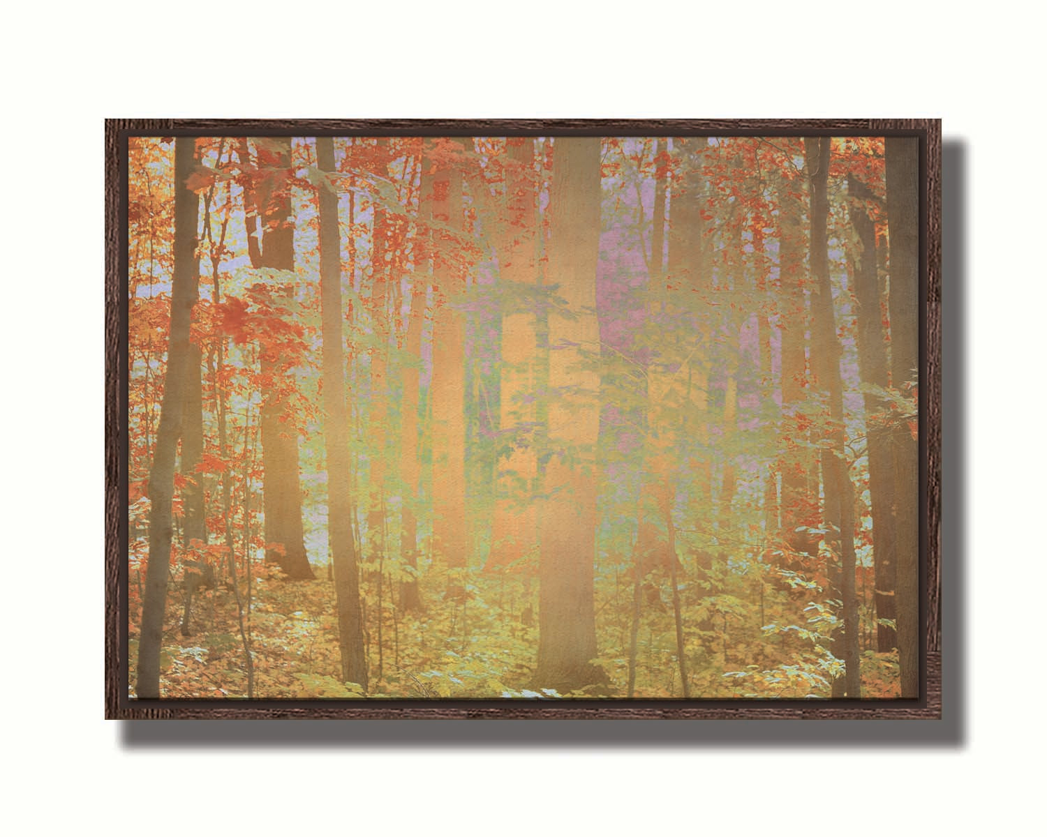 A photo of a forest with red leaves, edited with a color inverion radiating from the center. Printed on canvas in a float frame.